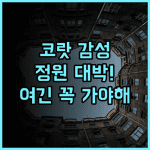 Koranaree Courtyard Boutique Hotel 추천 후기 정원이 아름다운 코랏 감성 숙소의 매력