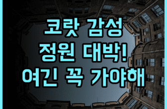 Koranaree Courtyard Boutique Hotel 추천 후기 정원이 아름다운 코랏 감성 숙소의 매력