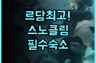 Redang Holiday Beach Resort 후기 스노클링 투어가 체계적인 르당 최고의 숙소 추천