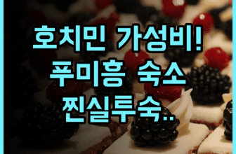 PH Hotel 호치민 7군 푸미흥 가성비 좋은 깨끗한 숙소 실투숙 후기