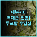 메트로 파크 호텔 야외 수영장과 루프탑 전망이 완벽한 세부 시티 숙소 후기 추천