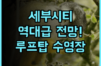 메트로 파크 호텔 야외 수영장과 루프탑 전망이 완벽한 세부 시티 숙소 후기 추천