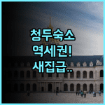 이텔 콜렉션 청두 두푸 초당 쓰촨성 인민병원 역 후기 리모델링으로 쾌적한 객실 환경 추천