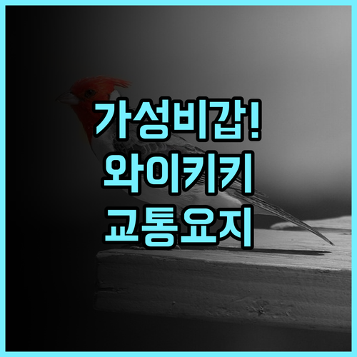 라마다 플라자 와이키키 후기 교통 요지에 위치한 하와이 호놀룰루 실속형 호텔 추천