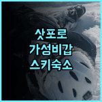 초이네 호텔 삿포로 테이네 후기 스키 여행객을 위한 최적의 가성비 숙소 추천