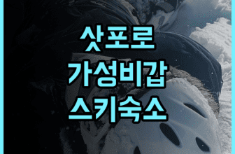 초이네 호텔 삿포로 테이네 후기 스키 여행객을 위한 최적의 가성비 숙소 추천
