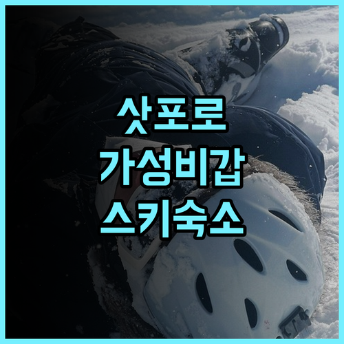 초이네 호텔 삿포로 테이네 후기 스키 여행객을 위한 최적의 가성비 숙소 추천