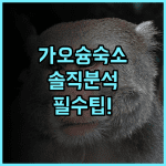 워터 우즈 인 실제 이용후기, 대만 가오슝 숙소 팁과 솔직한 분석