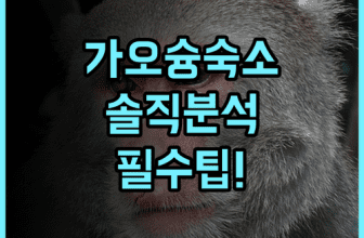 워터 우즈 인 실제 이용후기, 대만 가오슝 숙소 팁과 솔직한 분석