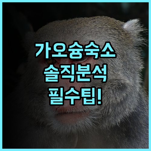 워터 우즈 인 실제 이용후기, 대만 가오슝 숙소 팁과 솔직한 분석