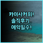 카이사 커위 리조트 선전 다펑 가족 여행을 위한 솔직 후기 및 예약 팁