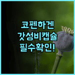 시티허브 코펜하겐 추천 현대적인 캡슐형 숙소 이용 후기 및 가성비 완벽 분석