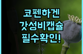 시티허브 코펜하겐 추천 현대적인 캡슐형 숙소 이용 후기 및 가성비 완벽 분석