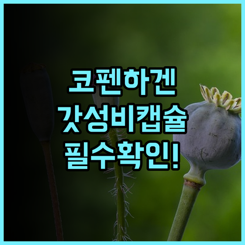 시티허브 코펜하겐 추천 현대적인 캡슐형 숙소 이용 후기 및 가성비 완벽 분석