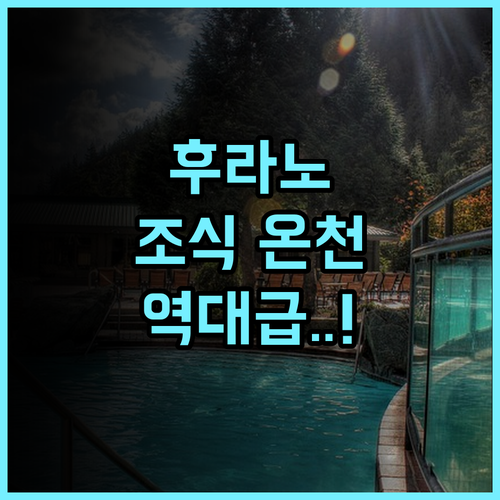 라 비스타 푸라노 힐스 핫 스프링스 후기 천연 온천과 풍성한 조식이 일품인 후라노 숙소 추천