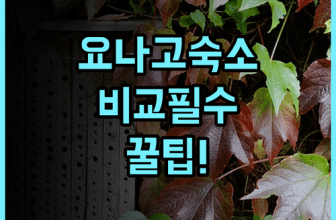 요나고 카수이테이·시 가든즈·스마일 호텔 실제 이용후기 비교