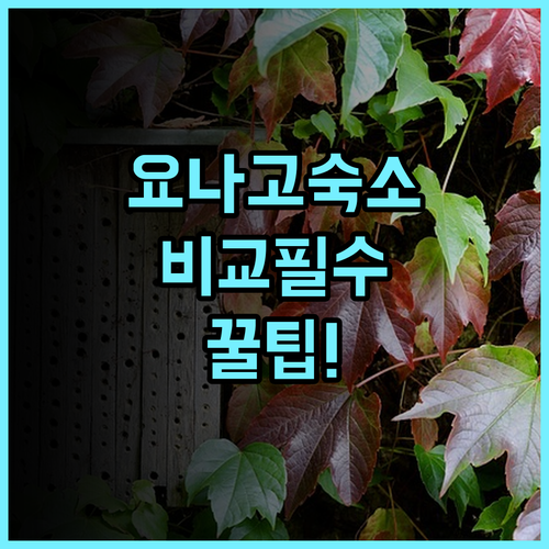 요나고 카수이테이·시 가든즈·스마일 호텔 실제 이용후기 비교