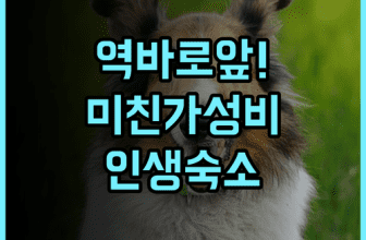 오스탈 마예를링 센트로 후기! 지하철역 바로 앞 접근성 완벽한 가성비 숙소 추천