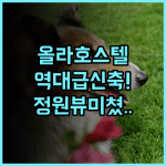 올라 호스텔 푸에르토 프린세사 후기 신축 시설과 정원 전망이 훌륭한 최고의 숙소