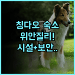 위안질리 인터내셔널 유스 호스텔 추천 안전한 보안과 현대적 시설을 갖춘 칭다오 숙박 후기