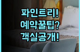 파인트리 호텔 예약 팁, 위치부터 객실 컨디션까지 꼼꼼히 따져본 숙소 후기입니다