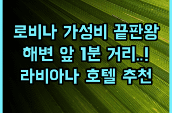 호텔 라비아나 해변 접근성이 훌륭한 가성비 최고의 로비나 호텔 추천