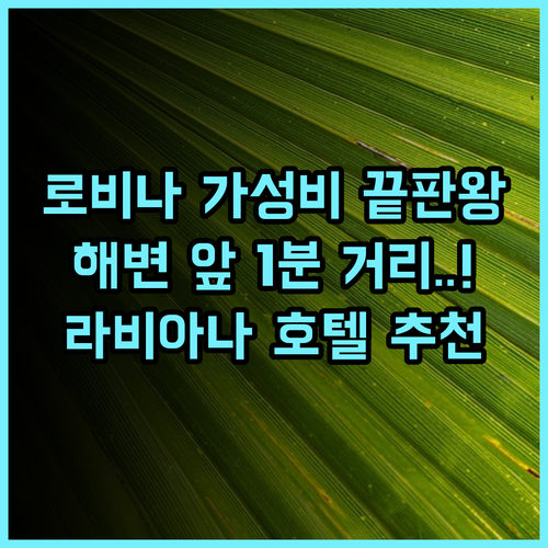 호텔 라비아나 해변 접근성이 훌륭한 가성비 최고의 로비나 호텔 추천