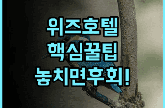 그랜드 위즈 호텔 프락시스 수라바야 실제 이용후기, 예약 팁