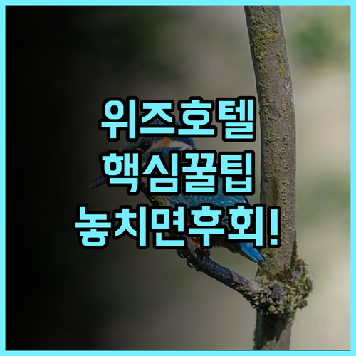 그랜드 위즈 호텔 프락시스 수라바야 실제 이용후기, 예약 팁