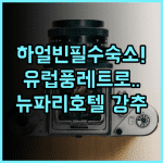 뉴 파리 호텔 하얼빈 하얼빈 난강구 유럽풍 레트로 감성 숙소 추천 후기