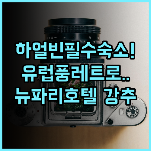 뉴 파리 호텔 하얼빈 하얼빈 난강구 유럽풍 레트로 감성 숙소 추천 후기