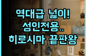 HOTEL ORIGIN 추천 넓은 객실과 정숙한 환경을 갖춘 히로시마 성인 전용 숙소 후기