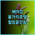베이징 불가리 호텔 숙소 후기, 도심 속 정원에서 즐긴 힐링 추천