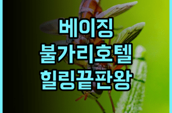 베이징 불가리 호텔 숙소 후기, 도심 속 정원에서 즐긴 힐링 추천