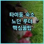 노던 루더 호스텔 숙소 후기 대만 타이둥 여행 준비하며 다녀온 총정리
