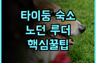 노던 루더 호스텔 숙소 후기 대만 타이둥 여행 준비하며 다녀온 총정리