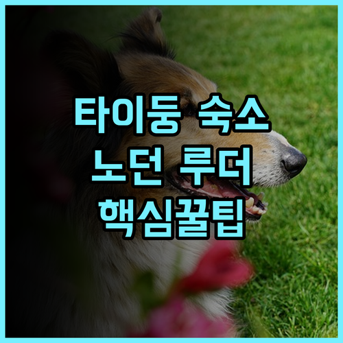 노던 루더 호스텔 숙소 후기 대만 타이둥 여행 준비하며 다녀온 총정리