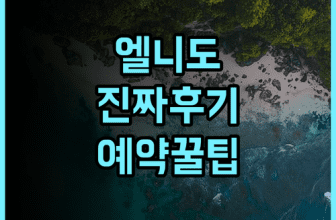 더 퍼니 라이온 엘 니도 실제 이용후기 및 예약 팁 정리