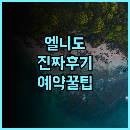 더 퍼니 라이온 엘 니도 실제 이용후기 및 예약 팁 정리