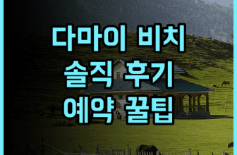 다마이 비치 리조트 솔직 후기, 예약 팁과 추천 이유