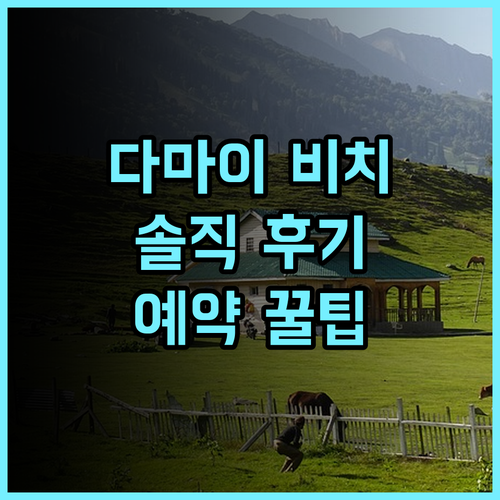 다마이 비치 리조트 솔직 후기, 예약 팁과 추천 이유