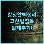 홀리데이 인 캉딩 윈티안 실제 이용후기와 고산지대 여행 숙소 팁 총정리
