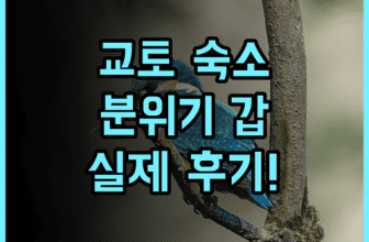 더 게이트 호텔 교토 실제 이용후기, 분위기 좋은 숙소 팁과 추천
