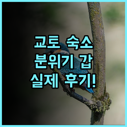 더 게이트 호텔 교토 실제 이용후기, 분위기 좋은 숙소 팁과 추천