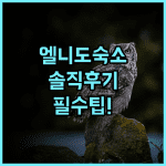 원 엘니도 스위트 솔직 후기, 엘니도 여행 숙소 팁 정리