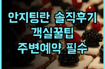 안지 팅란 인 솔직 후기, 객실 환경부터 주변 관광지 예약 팁