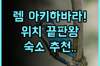 렘 아키하바라 도쿄 숙소 추천, 위치 좋은 역세권 호텔 총정리