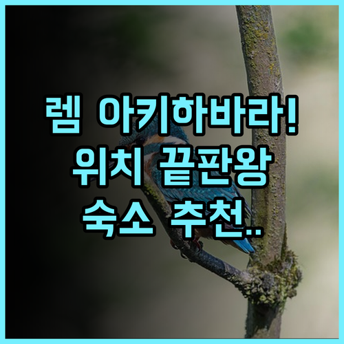 렘 아키하바라 도쿄 숙소 추천, 위치 좋은 역세권 호텔 총정리