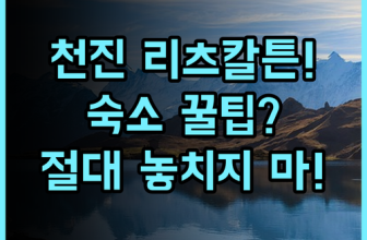 천진 더 리츠칼튼 호텔 실제 이용후기, 톈진 숙소 추천 및 예약 팁