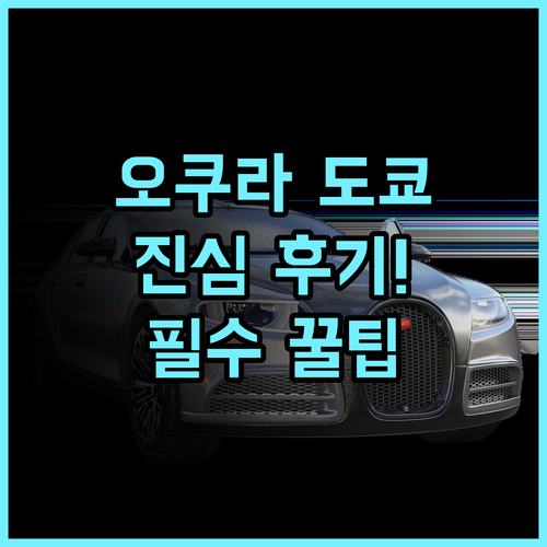 더 오쿠라 도쿄 솔직 후기, 고요함과 품격이 공존하는 숙소 이용 팁 총정리